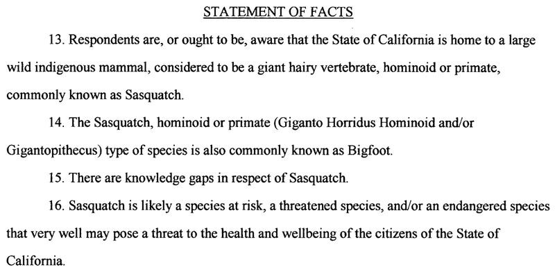 Screengrab: Superior Court of the State of California